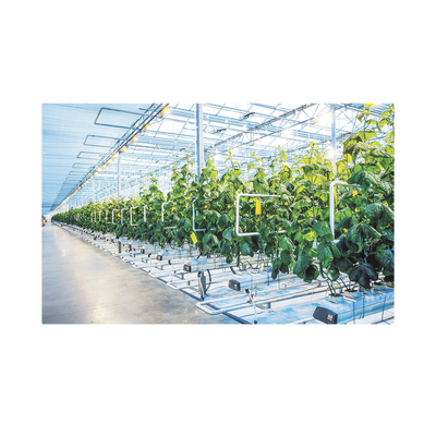 EM500-SMTC - Vista 1