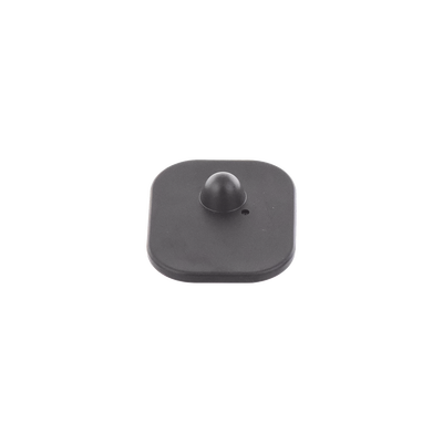 T005B - Vista 1