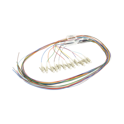 NKFPZ1BN1NKM001 - Vista 2