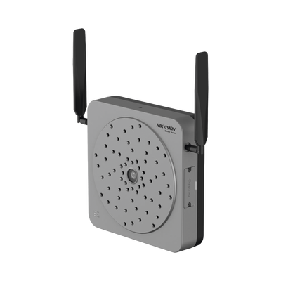 DS-QAAI264G1-PG - Vista 2