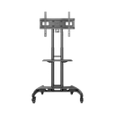 AVA1500601PNB - Vista 2