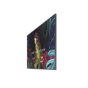 QB50C - Vista 3