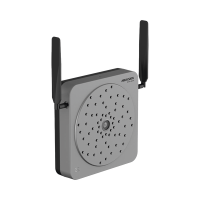 DS-QAAI264G1-PG - Vista 3