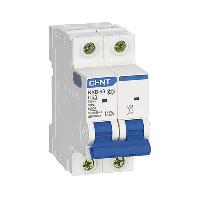 Pastilla para Riel Din, 2 Polos, 10 Amp, Vca:110/415v, 6kA, Catálogo: NXB632PC10, Serie: NXB-63.