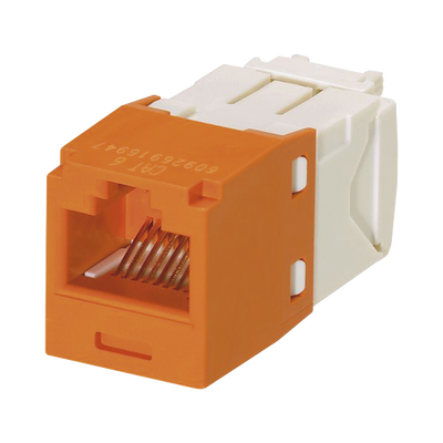 [CJ688TGOR] Jack PANDUIT CJ688TGOR
