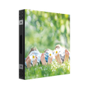 Modulo LED Full Color para Videowall / Pixel 4 mm / Resolución 240 X 240 / Gabinete de Metal / Uso en Exterior (IP65) / Publicidad en Exterior