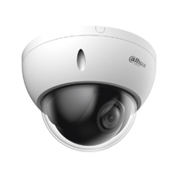 DAHUA SD22204DB-GNY - Cámara IP PTZ de 2 MP / WizSense/ 4x de Zoom óptico/ Starlight / Detección facial/ SMD 3.0/ Antivandálica IK10/ Exterior IP66/ Protección perimetral / Ranura para MicroSD/ PoE/ #
