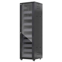 INTELLINET - 716253 - Gabinete 19" Pro Line con extractores de aire, 42U / Frente de 600 mm, unidad de ventilación con dos extractores de aire instalados en el techo, profundidad de 600 mm, Ensamblado