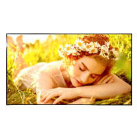 LG 50UL5Q - MONITOR DE SEÑALIZACION DIGITAL LG DE 50 PLG USO 24/7 BRILLO 500 NITS, 8MS 60HZ HDMI 3 HDCP 2.1/1.4