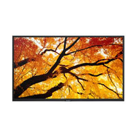 SHARP DISPLAY PN-M322 - MONITOR PROFESIONAL SHARP DE 32 M322 FULL HD 1920 X 1080 24/7, 450 CD/M2, 40001, HDMI, DISPLAYPORT H