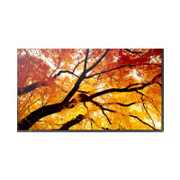 [PN-M982] SHARP DISPLAY PN-M982 - MONITOR PROFESIONAL SHARP 98 PN-M982 UHD 3840 X 2160 24/7, 550 CD/M2, 8000:1, HDMI, DISPLAYPORT HDC