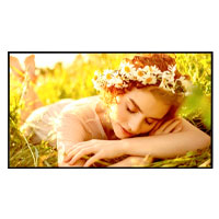 [75UL5Q] LG 75UL5Q - MONITOR SEÑALIZACION DIGITAL LG CON PANEL IPS UHD DE 75 PULGADAS, 500 NITS DE BRILLO PARA USO 247 CO