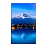 SHARP DISPLAY PN-P556 - MONITOR PROFESIONAL SHARP 55, PN-P556 LED, 24/7, 700 CD/M2, 10 BIT, UHD, HDMI IN/OUT ARC, DP IN/OUT