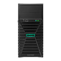HEWLETT PACKARD ENTERPRISE P81418-DM5 - HPE SMART CHOICE ML30 G11 E-2434 1P 1X32G HDD LA SVR