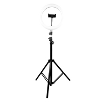 PERFECT CHOICE PC-120407 - ARO DE LUZ 10 PARA STREAMING LUMERIA, BASE EXPANDIBLE Y TRIPIE HASTA 1.60MTS. PERFECT CHOICE