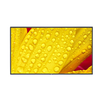 NEC M431-2 - MONITOR PROFESIONAL NEC DE 43 M431-2 UHD 3840 X 2160 24/7, 500 CD/M2, 8000:1, HDMI, DISPLAYPORT HDCP