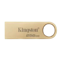 KINGSTON DTSE9G3/256GB - MEMORIA FLASH USB KINGSTON DATA TRAVELER SE9 G3 256GB GEN 1 3.2 DORADA DTSE9G3/256GB