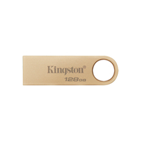 Memoria USB Kingston Technology SE9 G3