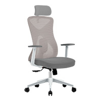 ACTECK AC-937245 - SILLA ERGONOMICA ACTECK FLOE PRO EC737 / INCLINACION 35 GRADOS / MARIPOSA CLASE 4 / MAX 120 KG / PIS