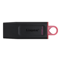 KINGSTON DTX/256GB - MEMORIA FLASH USB KINGSTON DATA TRAVELER EXODIA 256GB GEN 1 3.2 TIPO A NEGRO + ROSA (DTX/256GB)