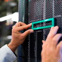 HEWLETT PACKARD ENTERPRISE P55516-B21 - HPE KIT DE PLACA POSTERIOR PARA PROLIANT DL38X GEN10 PLUS 8 SFF SAS/SATA A MODO TRIPLE