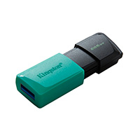 Memoria USB  Kingston Technology DATATRAVELER EXODIA M
