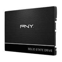 PNY SSD7CS900-250-RB - UNIDAD DE ESTADO SOLIDO INTERNO 250GB PNY CS900 2.5 SATA LECT.535/ESCRIT.500 MBS 7MM PC/LAPTOP/MINIP