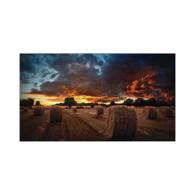 Pantalla Profesional LED de 55" para Video Wall, Full HD (1080p), HDMI/DVI-D/DP, Bisel Ultra Delgado de 2.3mm. Compatible VESA 600x400